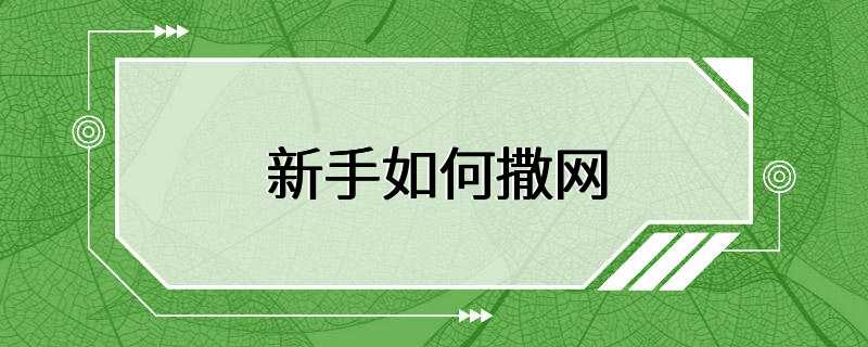 新手如何撒网