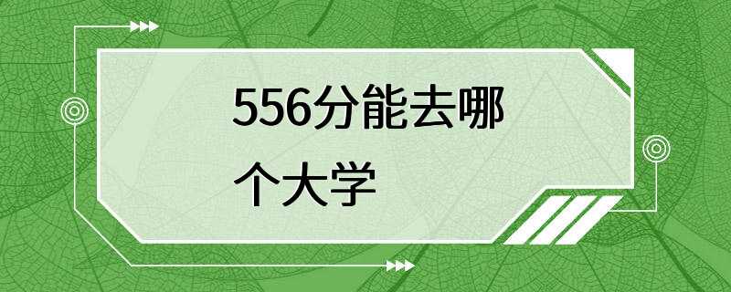 556分能去哪个大学