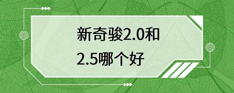 新奇骏2.0和2.5哪个好