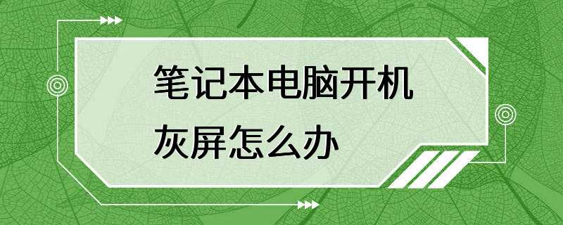 笔记本电脑开机灰屏怎么办