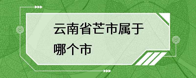 云南省芒市属于哪个市