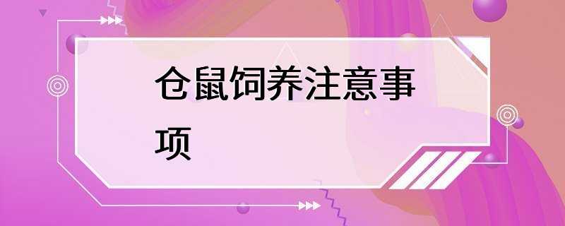 仓鼠饲养注意事项