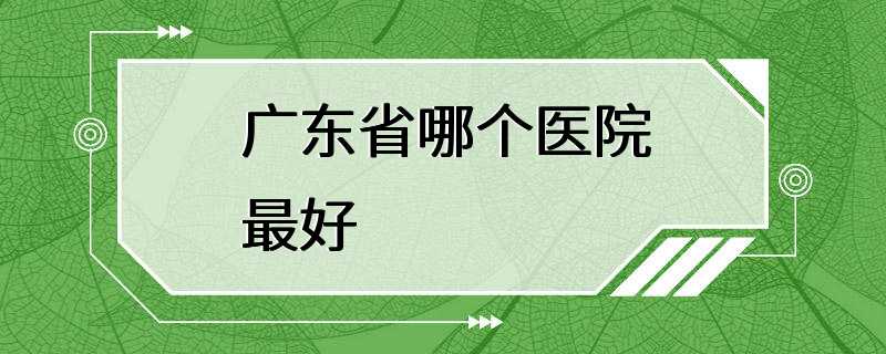 广东省哪个医院最好