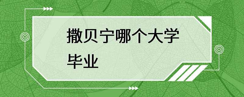 撒贝宁哪个大学毕业