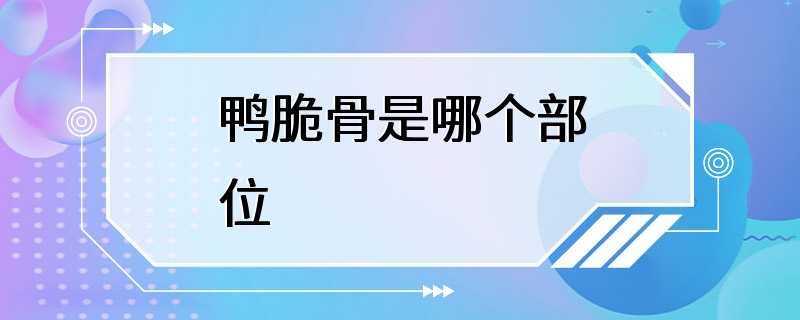 鸭脆骨是哪个部位