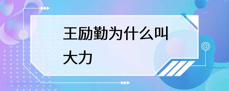 王励勤为什么叫大力