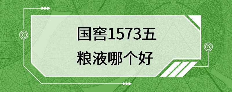 国窖1573五粮液哪个好