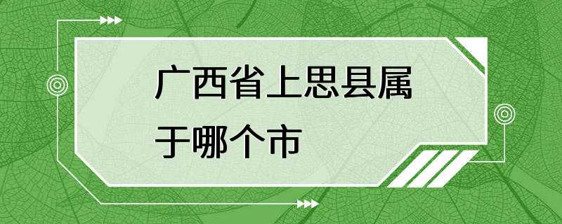 广西省上思县属于哪个市