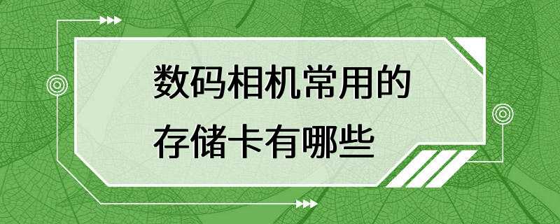 数码相机常用的存储卡有哪些