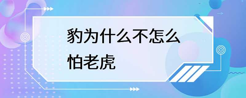 豹为什么不怎么怕老虎