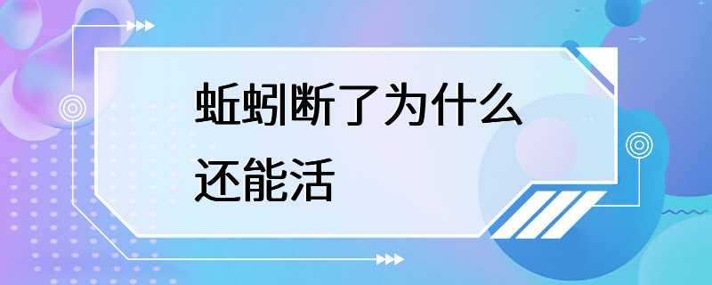 蚯蚓断了为什么还能活