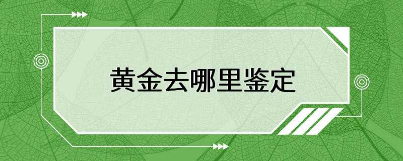 黄金去哪里鉴定