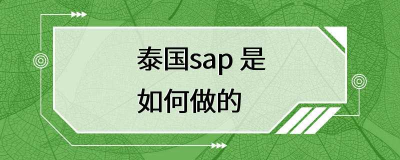 泰国sap 是如何做的