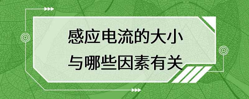 感应电流的大小与哪些因素有关