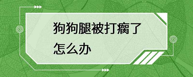 狗狗腿被打瘸了怎么办