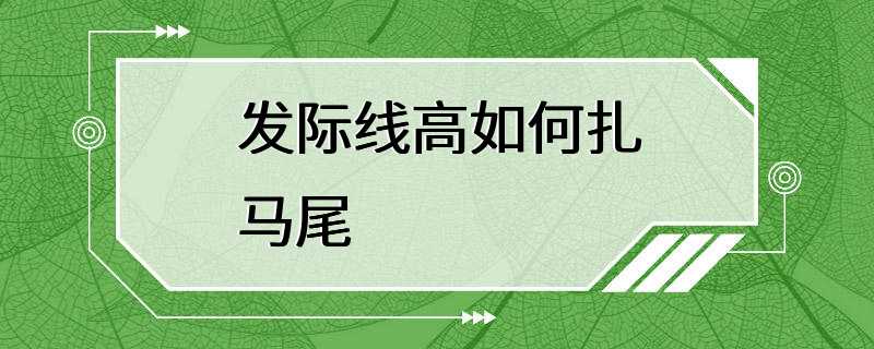 发际线高如何扎马尾