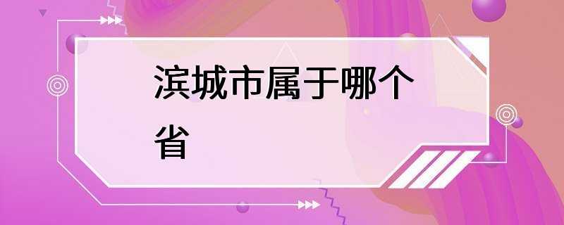 滨城市属于哪个省