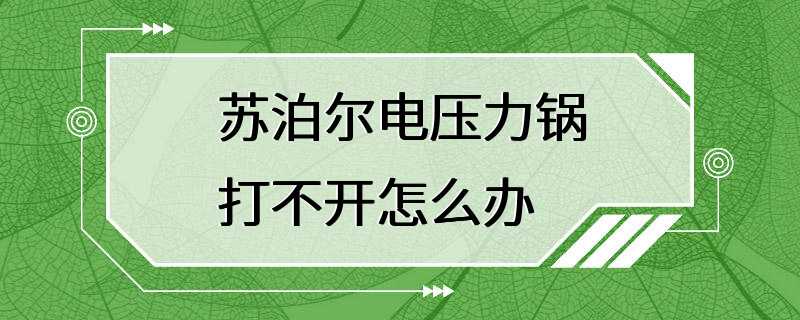 苏泊尔电压力锅打不开怎么办