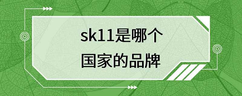 sk11是哪个国家的品牌