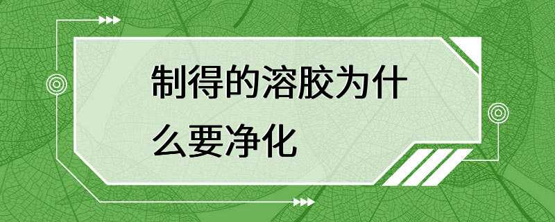 制得的溶胶为什么要净化