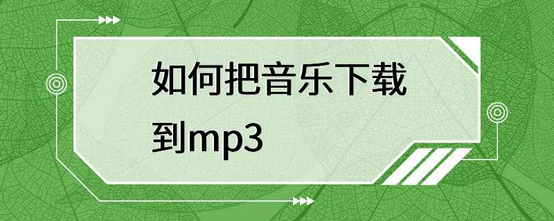 如何把音乐下载到mp3