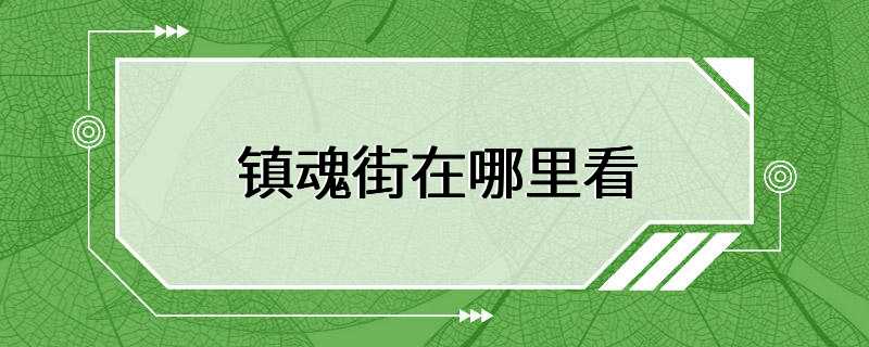 镇魂街在哪里看