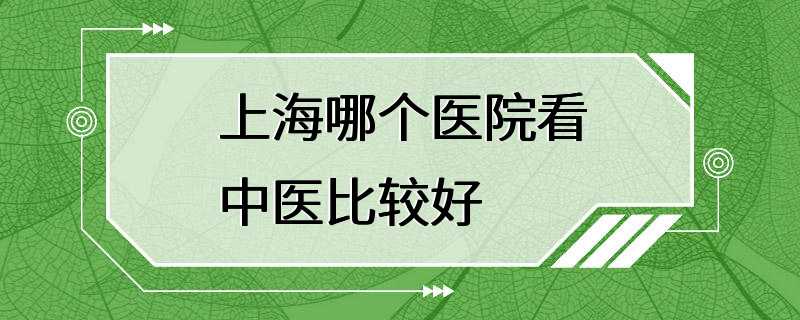 上海哪个医院看中医比较好