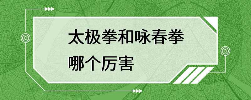 太极拳和咏春拳哪个厉害