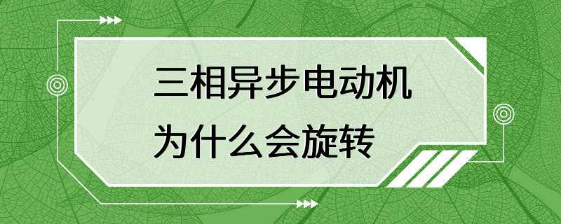 三相异步电动机为什么会旋转