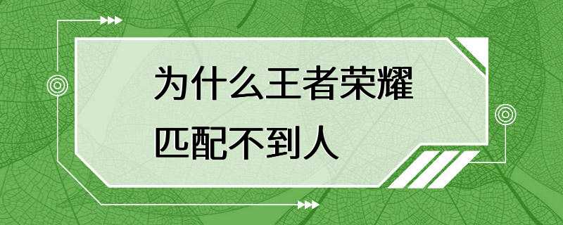 为什么王者荣耀匹配不到人