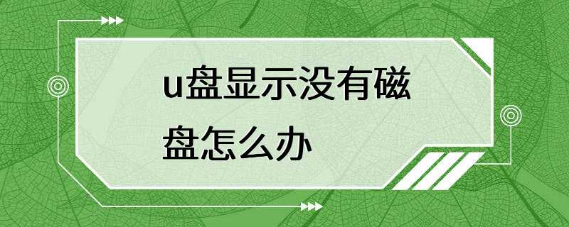 u盘显示没有磁盘怎么办