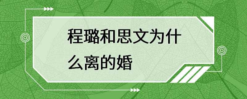 程璐和思文为什么离的婚