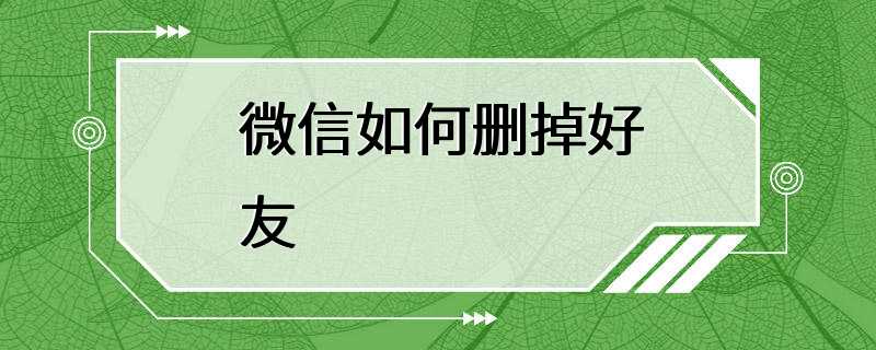 微信如何删掉好友