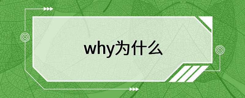 why为什么