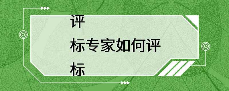 评标专家如何评标