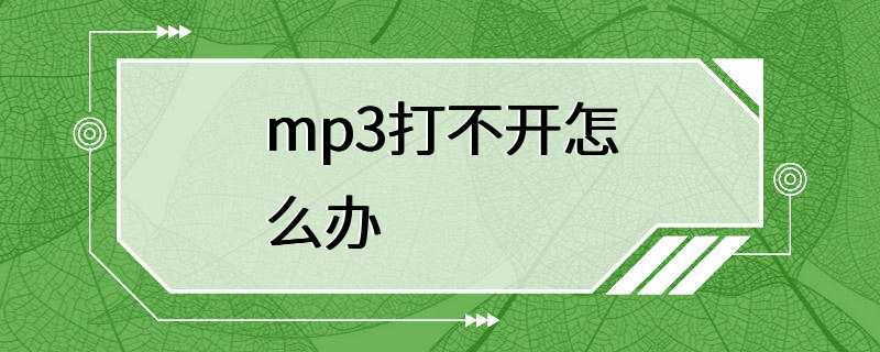 mp3打不开怎么办