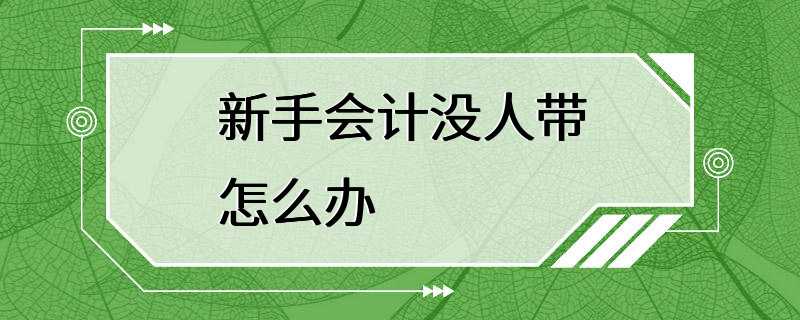 新手会计没人带怎么办