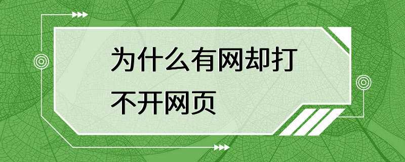 为什么有网却打不开网页