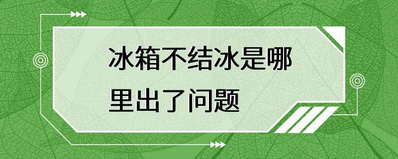 冰箱不结冰是哪里出了问题