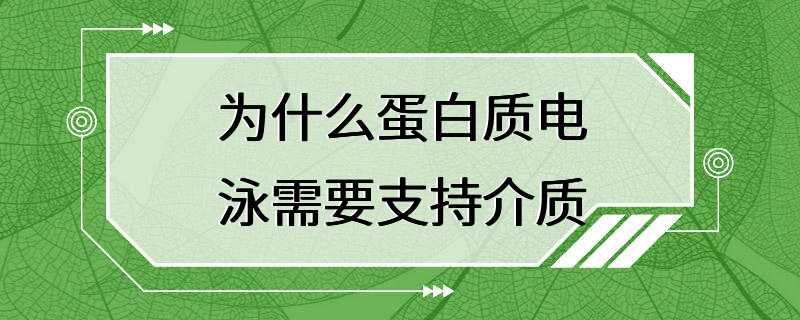 为什么蛋白质电泳需要支持介质