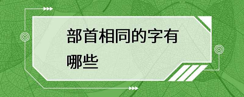 部首相同的字有哪些