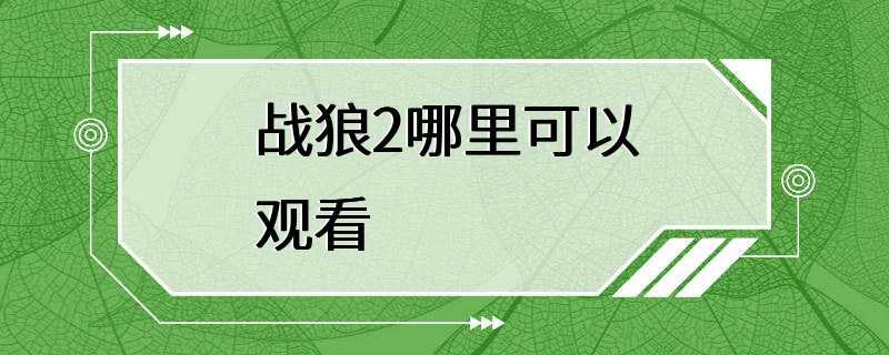 战狼2哪里可以观看