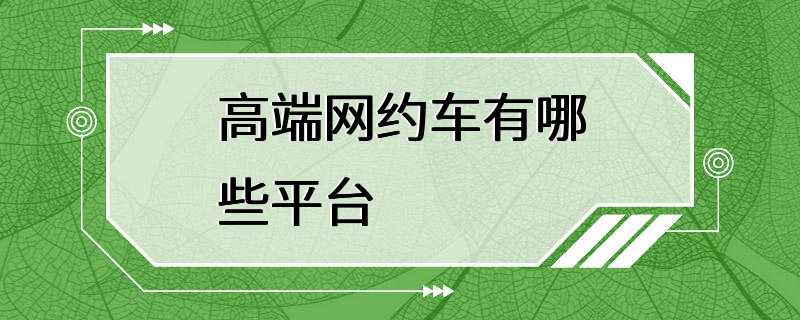 高端网约车有哪些平台