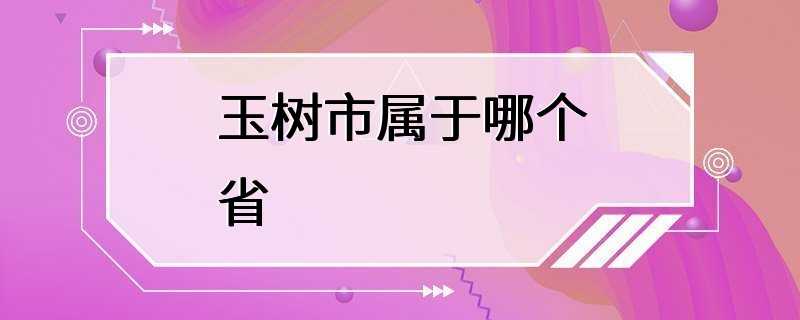 玉树市属于哪个省