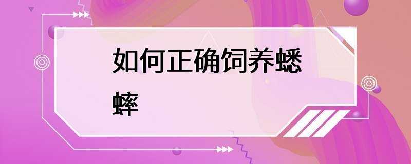 如何正确饲养蟋蟀