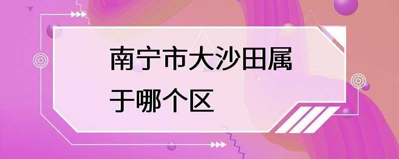 南宁市大沙田属于哪个区