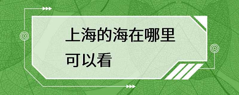 上海的海在哪里可以看