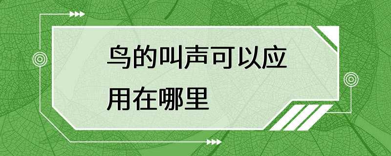 鸟的叫声可以应用在哪里