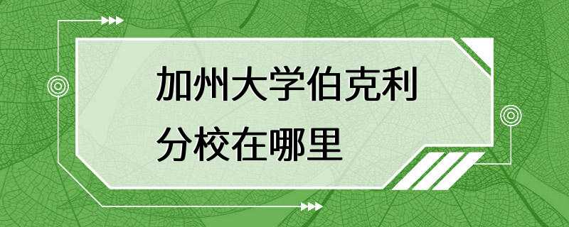 加州大学伯克利分校在哪里