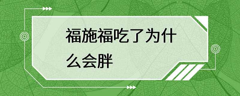 福施福吃了为什么会胖